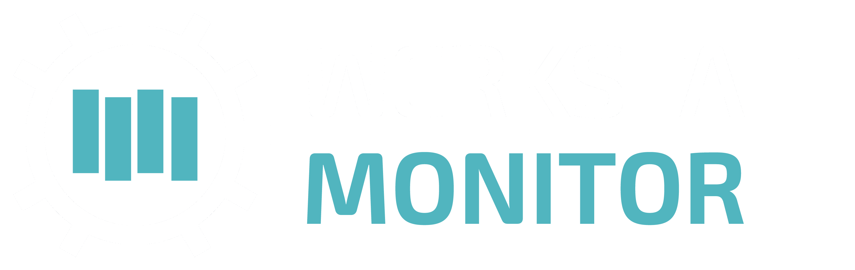 Werkstatt Monitor